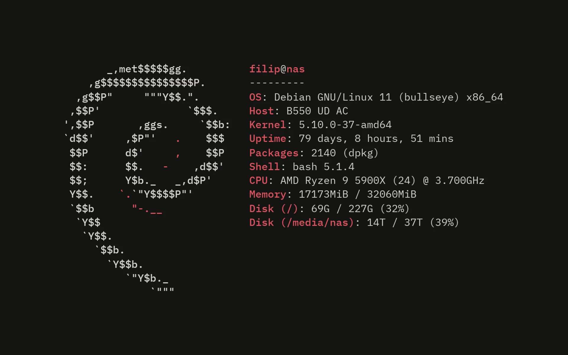 neofetch on the home server: Debian 11, Ryzen 9 5900X, 32 GB, 37 TB array